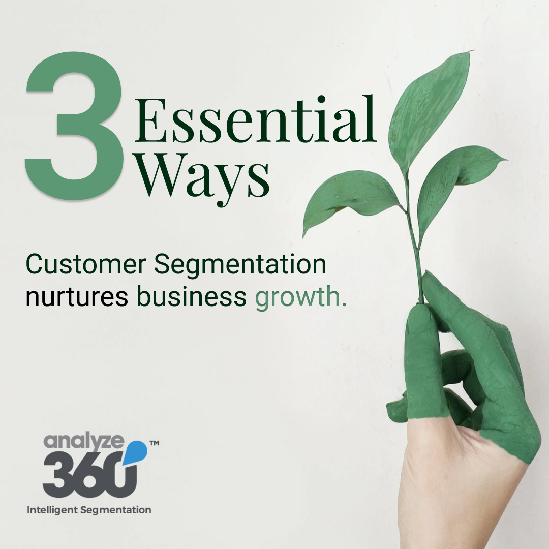 3 Essential Ways Customer Segmentation Nurtures Business Growth ...